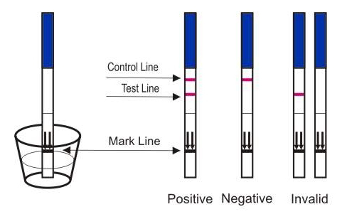 Hcg in men