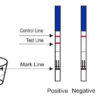 850 x ONE STEP 3.5mm Pregnancy Test Strips - 25mIU/mL - Image 8