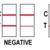 Drug Testing Kit | 7in1 Urine Panel Test | 1 Test Kit (BUP) - Image 3