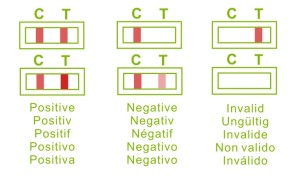 lh_cassette_results_multi_language