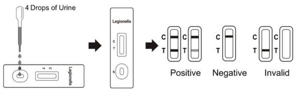 How to use - One Step Legionella Urine Test