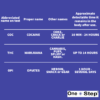 3 in 1 Saliva Drug Testing Kits Oral Fluid Tests - Image 3