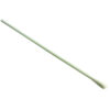 One Step Candida Albicans Test Swab