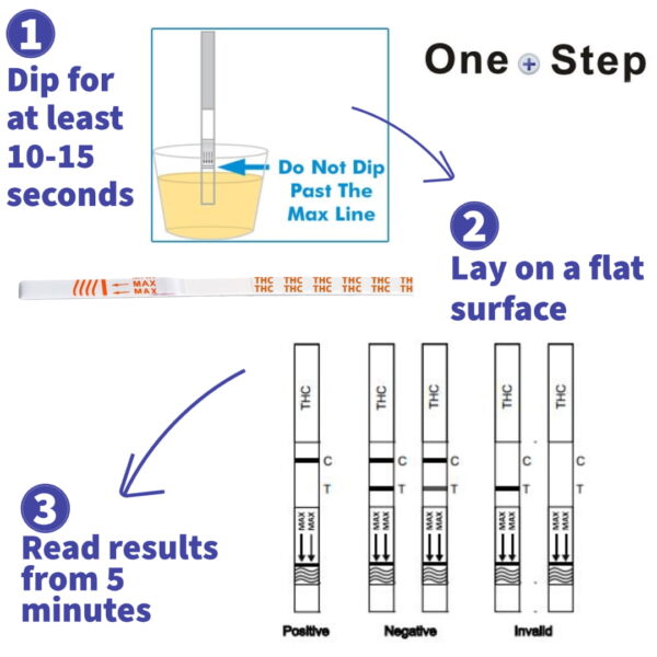 How To Use One Step 6-MAM Test Strip
