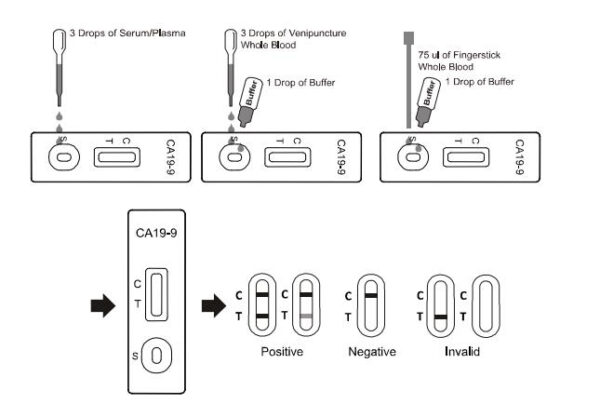 How To Use One Step CA19-9 Pancreatic Cancer Test Cassette