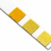 Home Kidney Function Urine Test Kits | 2 Testing Strips - Image 5