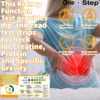 Home Kidney Function Urine Test Kits | 2 Testing Strips - Image 2