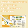Home Kidney Function Urine Test Kits | 2 Testing Strips - Image 3