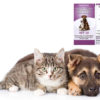 cat and dog pet strips