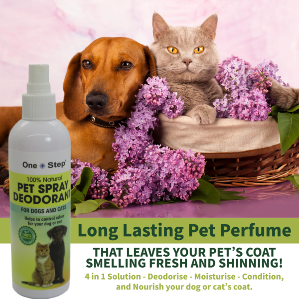 pet deodorant spray info box cat dog