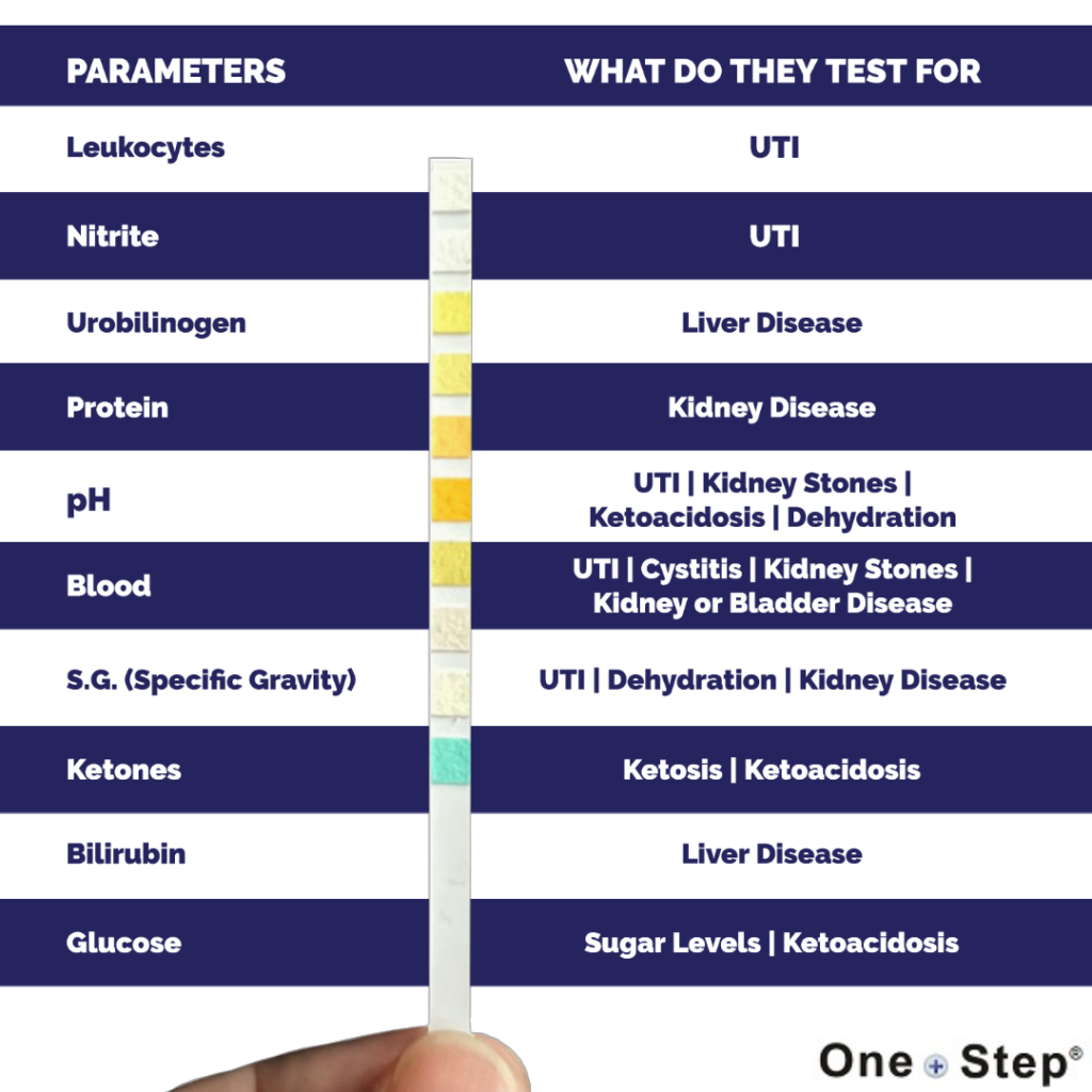 10 Parameter Urine Strips Dipstick Tests 100 Test Strips Home Health Uk 3242