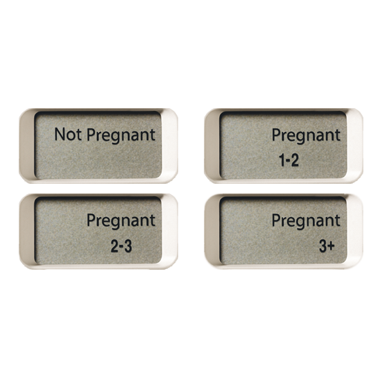 new_digital_pregnancy_1