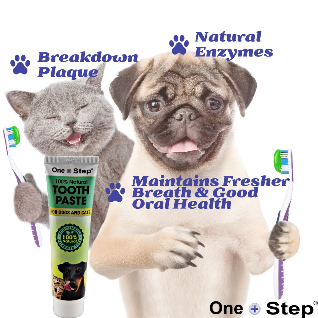 Beaphar Toothpaste for Dogs and Cats, 100g