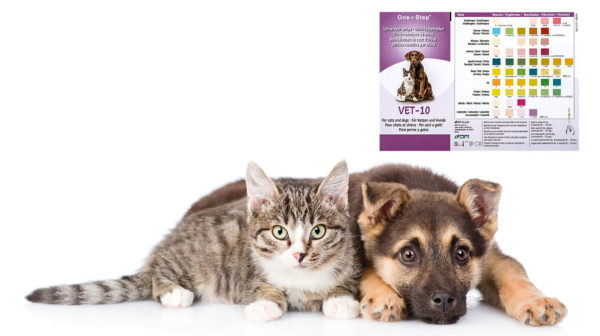 cat and dog pet strips