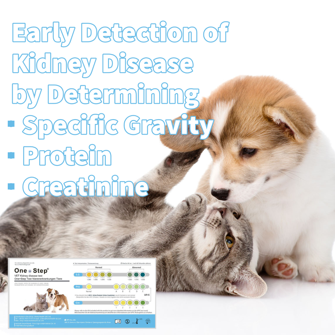 Protein for cats outlet with kidney disease