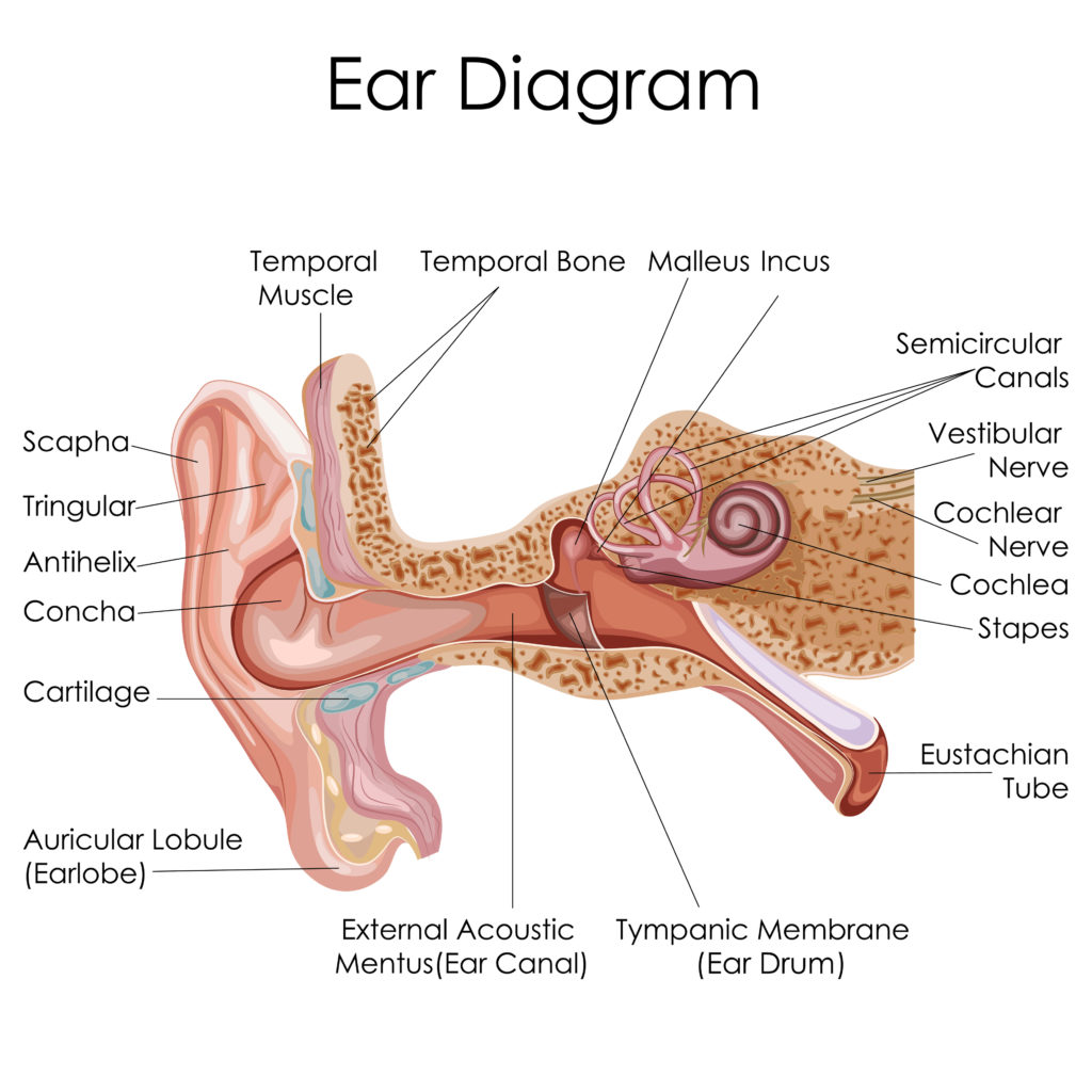 Children's Ear Infections in Winter