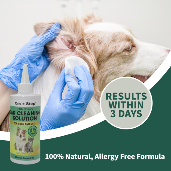 pet ear cleaning solution bottle results