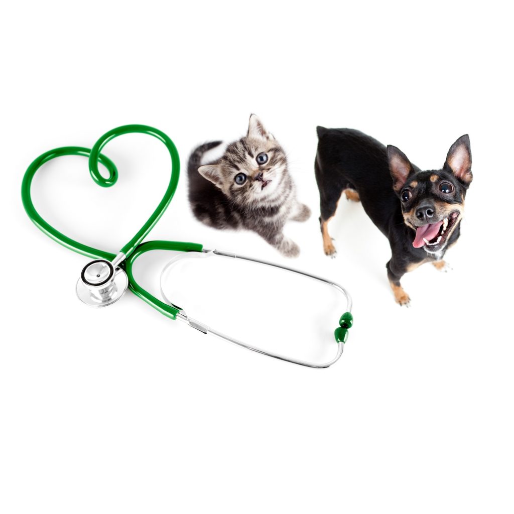 Veterinary Testing Kits