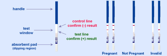Тест м5. Ультра чувствительные тесты на беременность. Тест на беременность суперчувствительный. Чувствительность тестов на беременность. Чувствительность тестов на беременность таблица.
